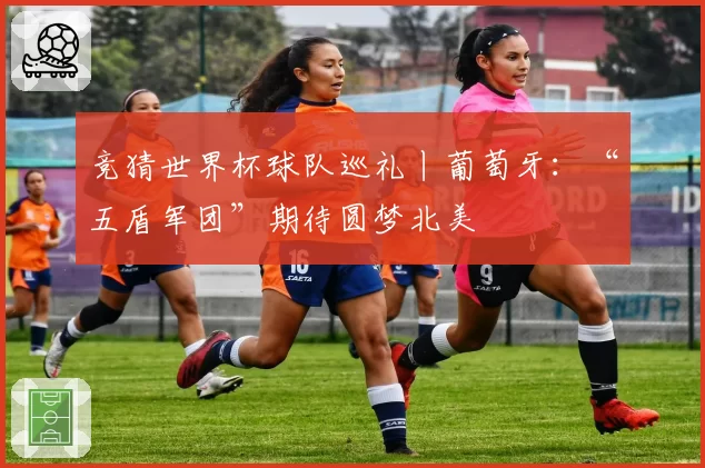 竞猜世界杯球队巡礼丨葡萄牙：“五盾军团”期待圆梦北美