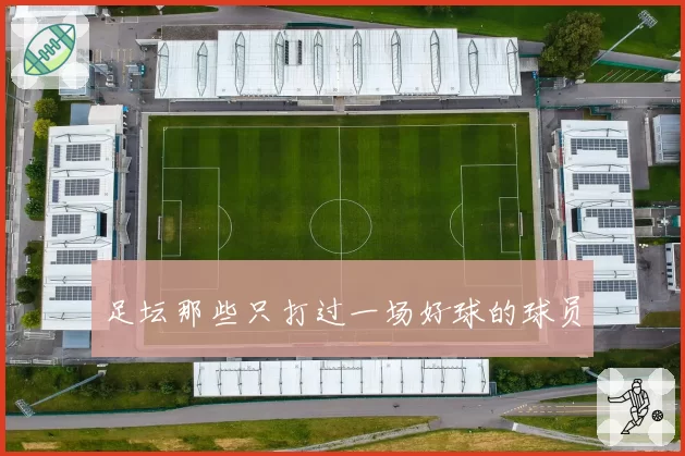 足坛那些只打过一场好球的球员