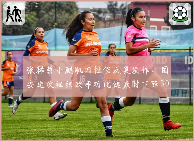 张稀哲小腿肌肉拉伤反复发作，国安进攻组织效率对比健康时下降30%