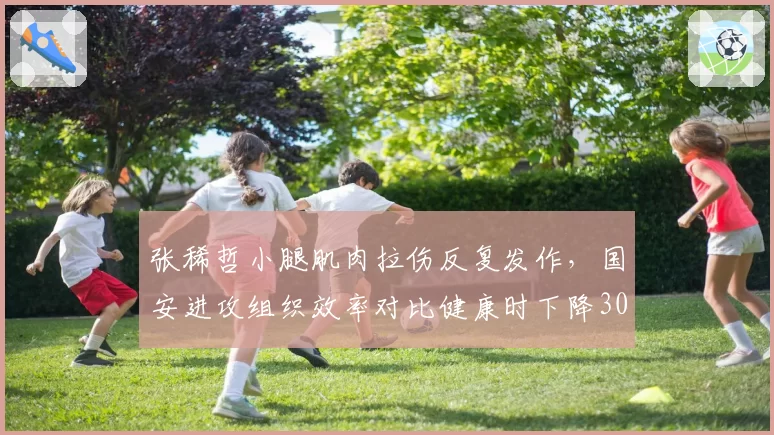 张稀哲小腿肌肉拉伤反复发作，国安进攻组织效率对比健康时下降30%
